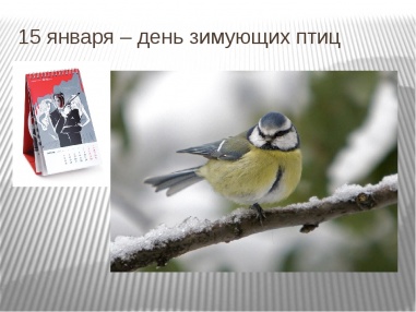 Экологический час "Зимующие птицы"