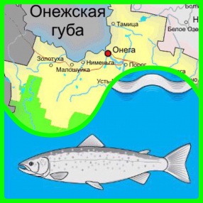 Онежская центральная библиотека и клуб «Онежский краевед» готовят к изданию IV краеведческий альманах, посвящённый 90-летию Онежского района.