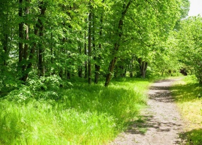 14 сентября в 12.00 городская детская библиотека Новодвинска приглашает учащихся 1-4 классов принять участие в экологической игре - путешествии «По лесной тропе родного края», посвященной Дню краеведческих знаний.