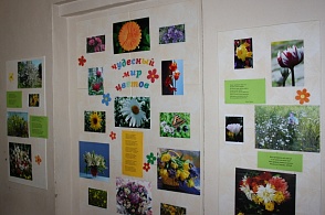 Иллюстративная выставка "Чудесный мир цветов" (Онежская детская библиотека)